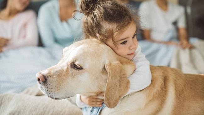 5 Jenis Anjing Cocok untuk Keluarga dengan Anak Kecil