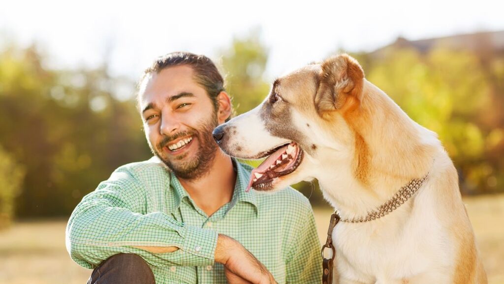 Anjing Dapat Membantu Penyembuhan Mental dan Emosional